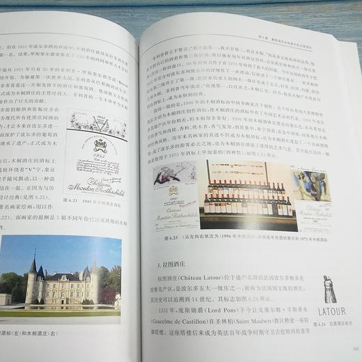 奢侈品品牌管理——赛车运动与法国红酒  9787313225412  李杰 商品图2