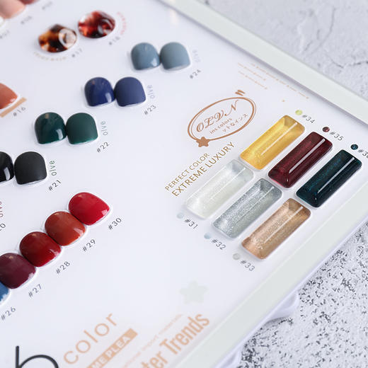 星瑞36色套装（配底胶、免洗封层、实物色板） 商品图4