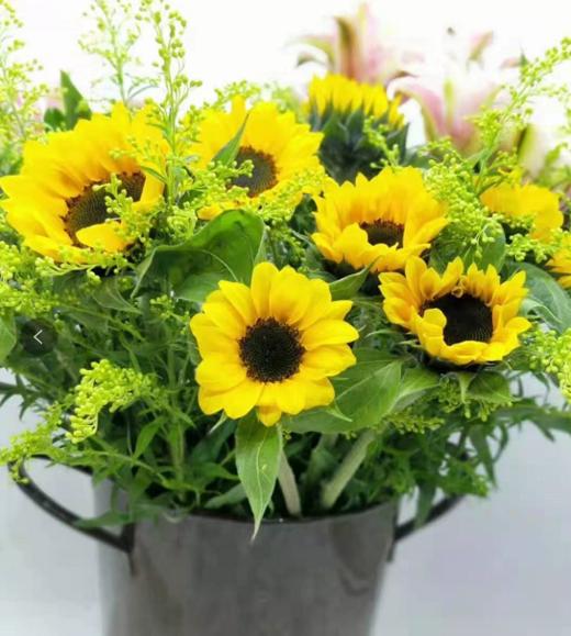 昆明直发3人团绿心迷你向日葵5枝德邦空运全国大部分地区包邮