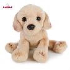 小金毛13cm（nuzzle）