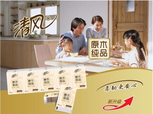 清风  原木纯品3层10张迷你手帕纸  10包 商品图1