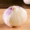 大蒜 商品缩略图0