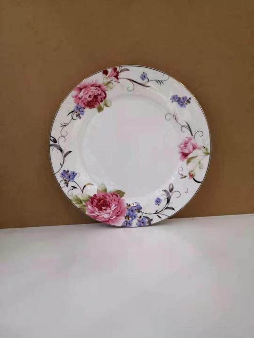 5F 隆昌 骨瓷10.5寸平盘 商品图0