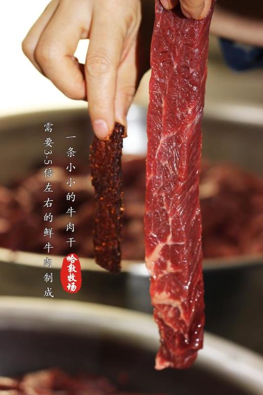 哈敦牧场 风干牛肉 250g/袋 商品图2