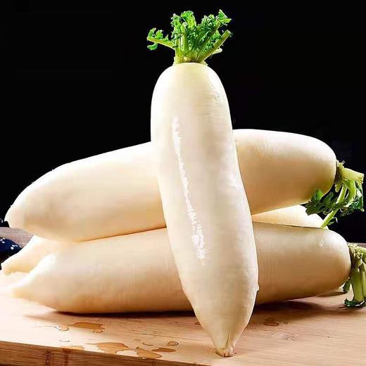 白萝卜 商品图2
