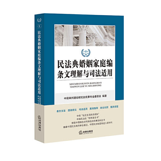 民法典婚姻家庭编条文理解与司法适用 商品图0