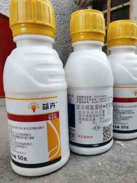 先正达45%益卉苯丙烯氟菌唑嘧菌酯水分散粒剂防治白粉病