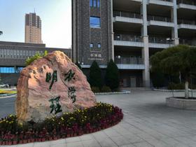 李曈宇作品欣赏