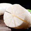 白萝卜 商品缩略图3