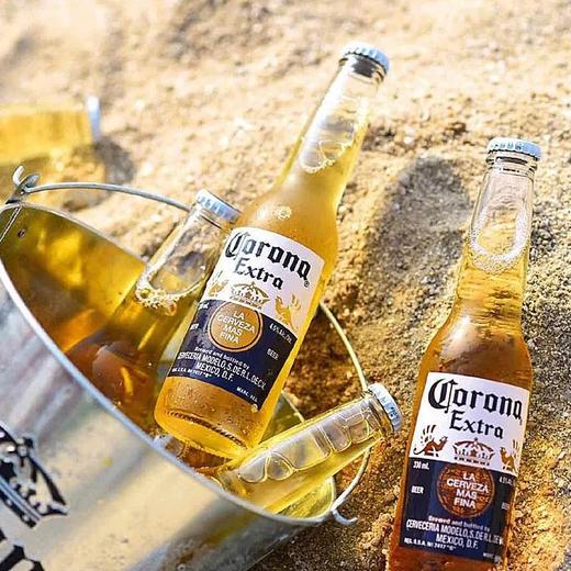 科罗娜特级啤酒六瓶装330ml*6 商品图2