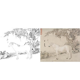 清 王致诚 十骏马图册页 ZC05