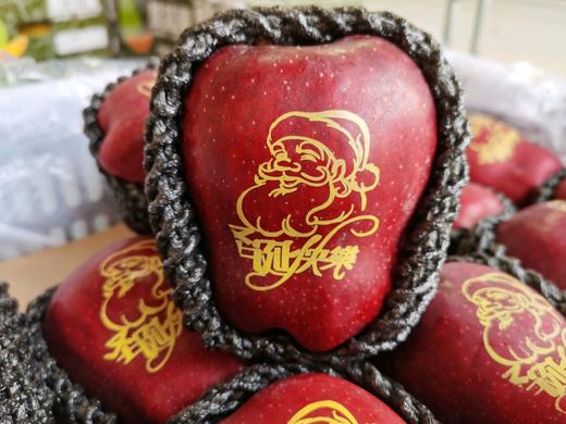 圣诞快乐花牛苹果 商品图0