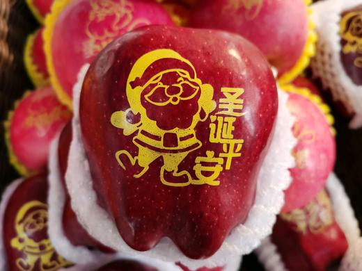 圣诞快乐花牛苹果 商品图1