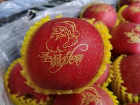 圣诞快乐富士苹果