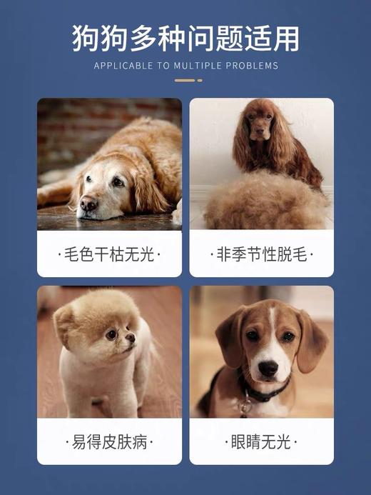 MAG 狗狗三文鱼油 美毛护肤 300ml 商品图1