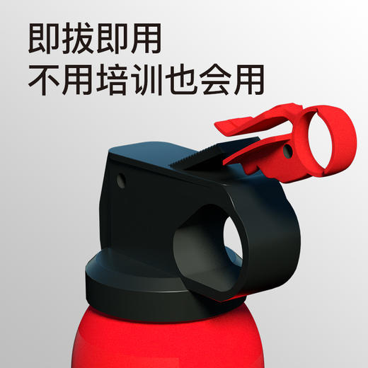 镇定 干粉式车载灭火器600g 00555a 商品图2