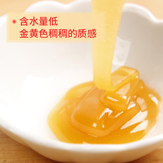 【常州馆】新疆唐布拉黑蜂蜜土蜂蜜500g 商品图1