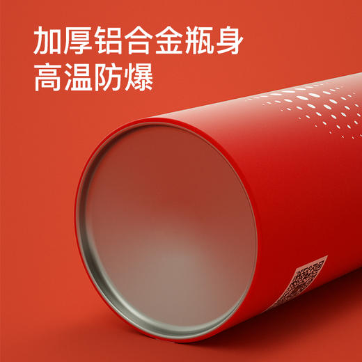 镇定 干粉式车载灭火器600g 00555a 商品图4