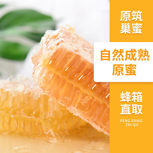 【常州馆】神秘西域伊犁河谷食用黑蜂巢蜜210g/盒 商品图4