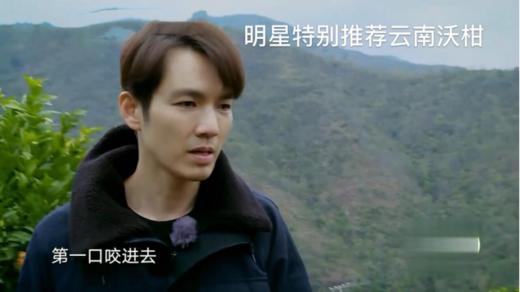 云南哀牢山沃柑（新华欣专供）-1斤 商品图6