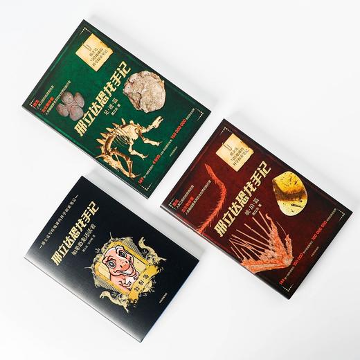 邢立达恐龙手记 套装3册 足迹篇+琥珀篇+特别篇 动物科普 追寻恐龙 古生物学家 走进远古世界 中信出版社图书 正版 商品图1