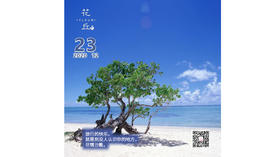 【花丘•心语】