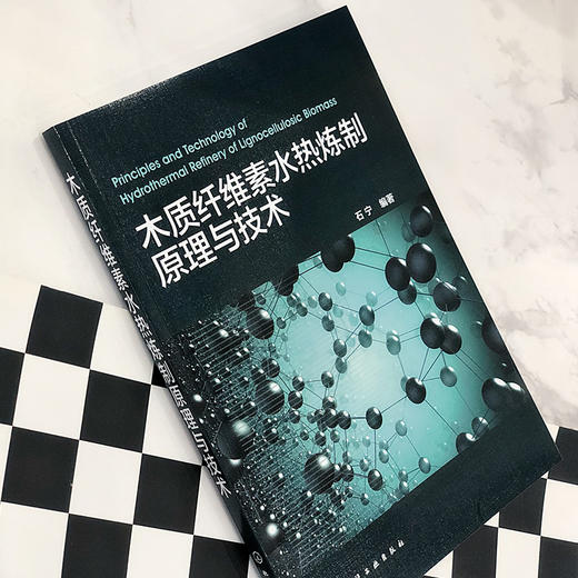 木质纤维素水热炼制原理与技术 商品图3