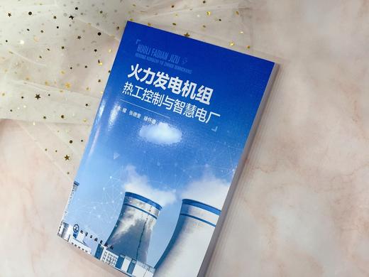 火力发电机组热工控制与智慧电厂 商品图4
