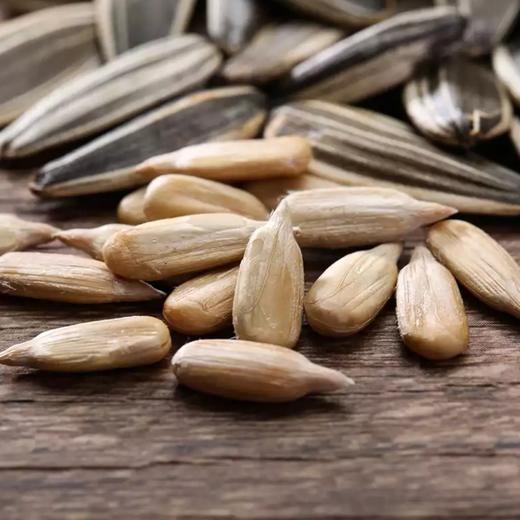 【洽洽】五香瓜子 160g | 五香风味·香脆可口 | 独立小包装 商品图2