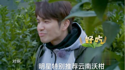 云南哀牢山沃柑（新华欣专供）-1斤 商品图9