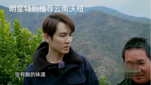 云南哀牢山沃柑（新华欣专供）-1斤 商品图7