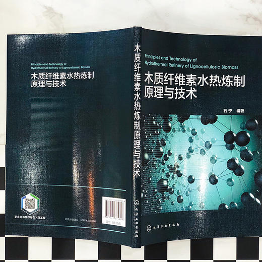 木质纤维素水热炼制原理与技术 商品图2
