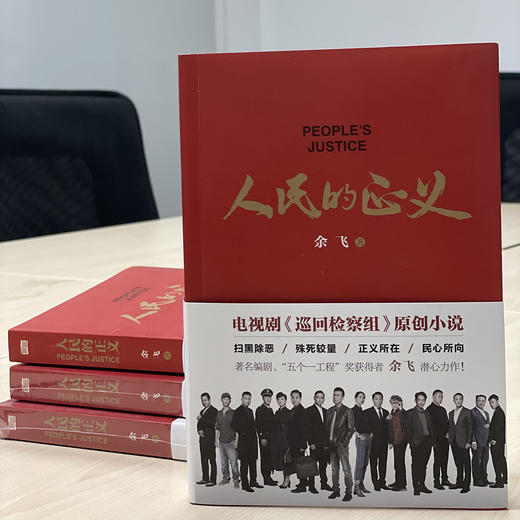 《人民的正义》电视剧《巡回检察组》原著小说 商品图4