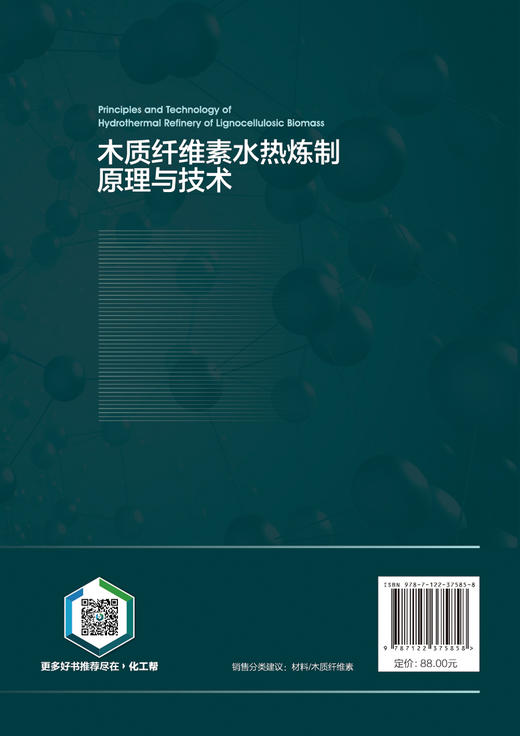 木质纤维素水热炼制原理与技术 商品图5