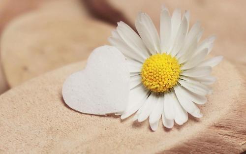 测试---勿动 商品图2