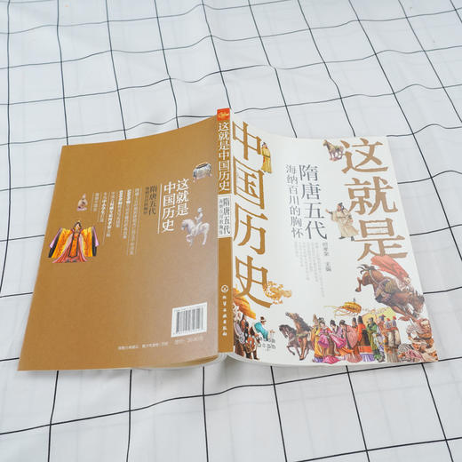 这就是中国历史 隋唐五代 海纳百川的胸怀 何孝荣 讲述中国历史上影响深远的人事时地物 中国历史故事 小学生青少年课外读物 商品图4