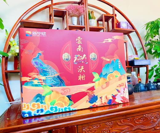 云南哀牢山沃柑（新华欣专供）-1斤 商品图0