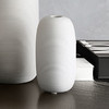 懂窝 | 无暇美玉 jade 花瓶 Vase 商品缩略图5