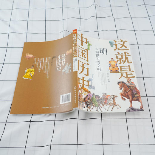 这就是中国历史 明 长城拱卫的文明 何孝荣 讲述中国历史上影响深远的人事时地物中国历史故事小学生青少年课外读物 商品图4
