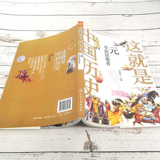 这就是中国历史 元 草原征服者 中国正史概念 中国历史 历史事件与人物历史常识儿童读物历史读物 青少年历史课外读物 商品图4