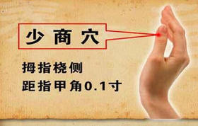 少商穴的作用以及应用