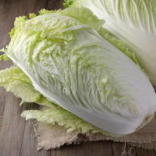 大白菜 商品图0