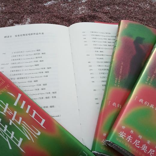 一堆谎言 安东尼奥尼的故事速写 商品图9