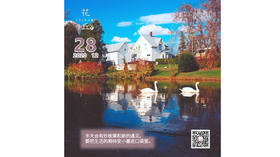 【花丘•心语】