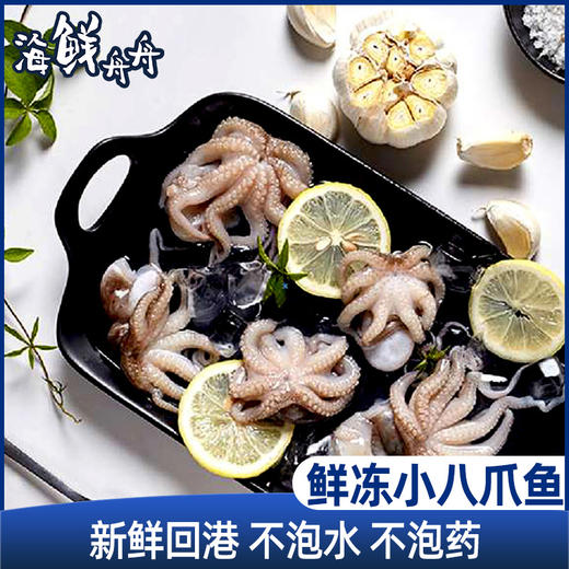 活冻小管1盒 鲜冻小章鱼1盒 海蛎肉1盒 扇贝肉1盒 商品图1