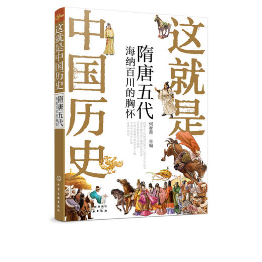 这就是中国历史 隋唐五代 海纳百川的胸怀 何孝荣 讲述中国历史上影响深远的人事时地物 中国历史故事 小学生青少年课外读物 商品图0