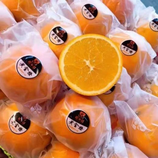 伦晚橙 商品图1