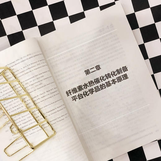 木质纤维素水热炼制原理与技术 商品图4