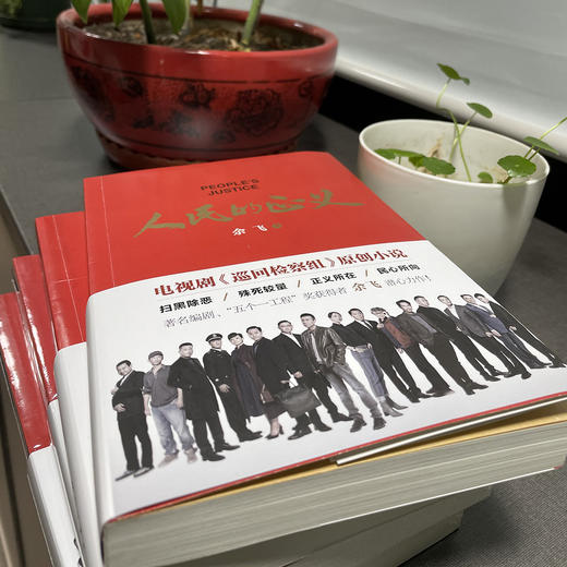 《人民的正义》电视剧《巡回检察组》原著小说 商品图1