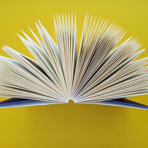 剧本设计学 商品图7